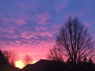 Site hosted by Neocities